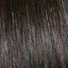 Celebrity by Aspen | CLEARANCE
