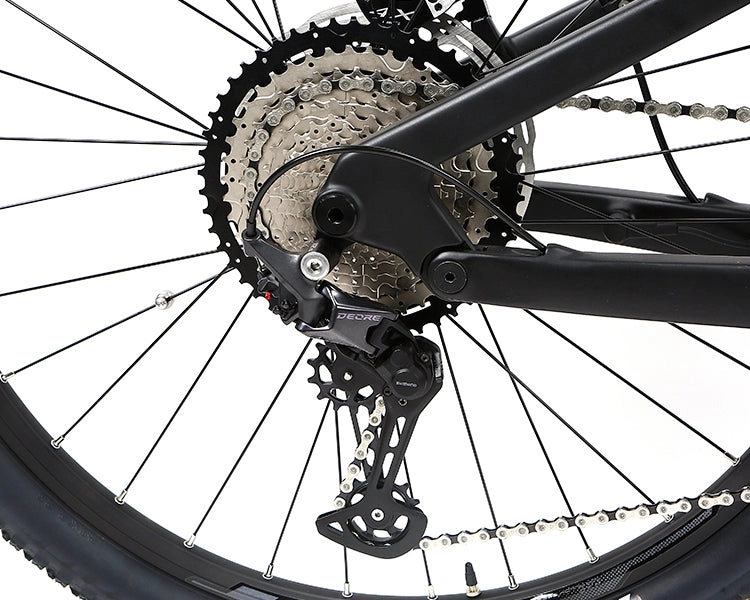 EM10 2025 - ELECTRIC CARBON BIKE