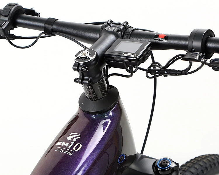 EM10 2025 - ELECTRIC CARBON BIKE
