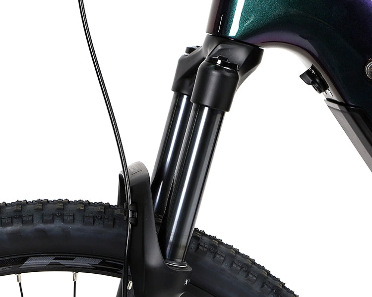 EM10 2025 - ELECTRIC CARBON BIKE