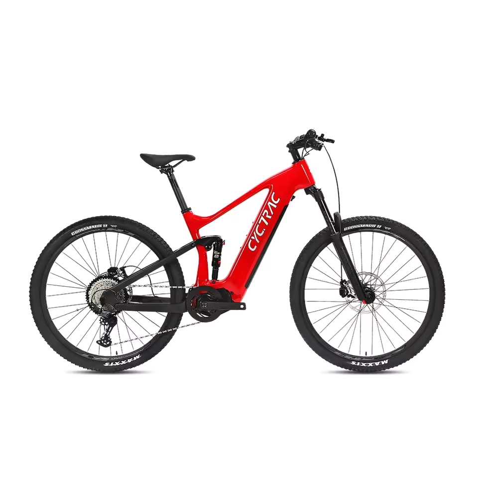 EM10 2025 - ELECTRIC CARBON BIKE