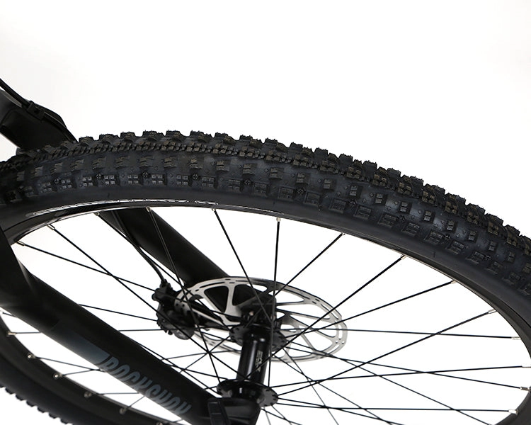 EM10 2025 - ELECTRIC CARBON BIKE