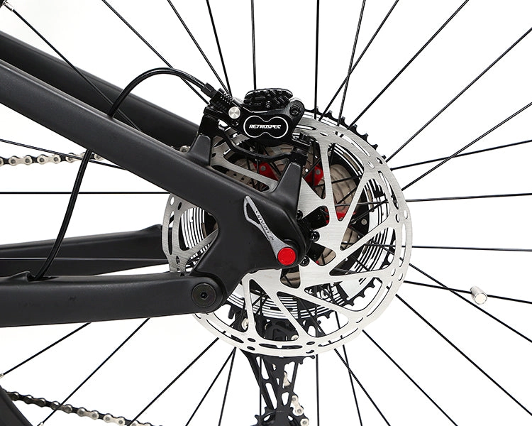 EM10 2025 - ELECTRIC CARBON BIKE