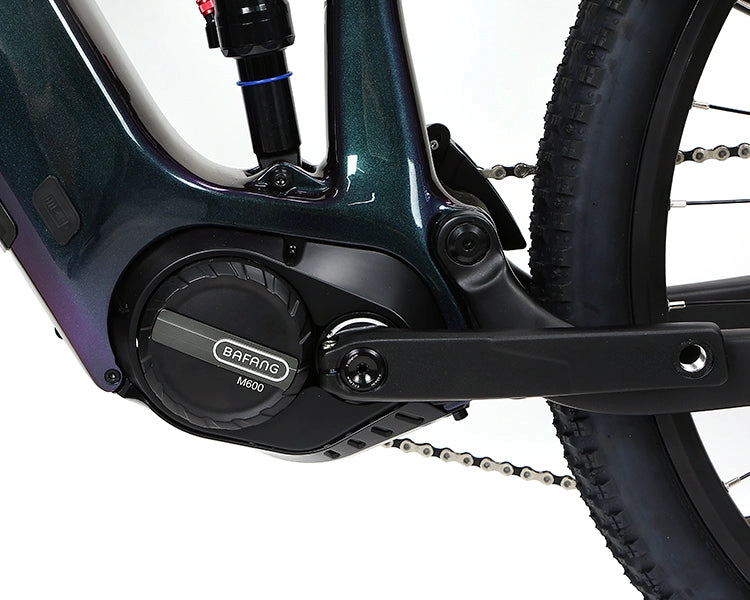 EM10 2025 - ELECTRIC CARBON BIKE