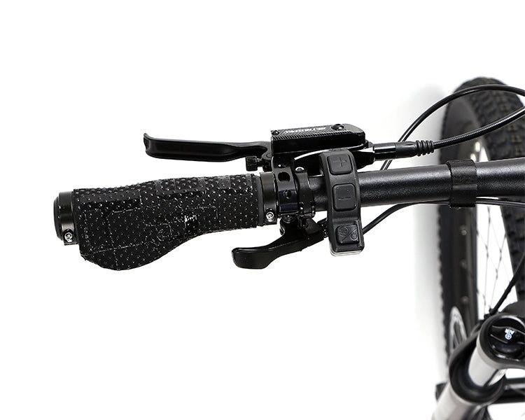 EM10 2025 - ELECTRIC CARBON BIKE