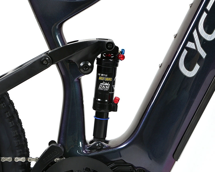 EM10 2025 - ELECTRIC CARBON BIKE