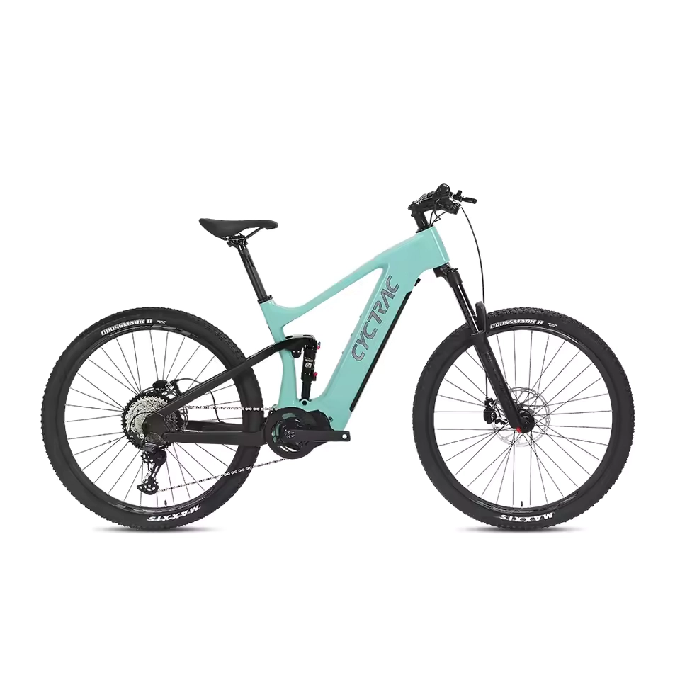 EM10 2025 - ELECTRIC CARBON BIKE