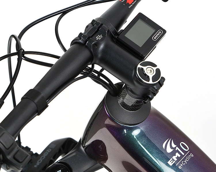 EM10 2025 - ELECTRIC CARBON BIKE
