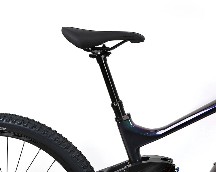 EM10 2025 - ELECTRIC CARBON BIKE