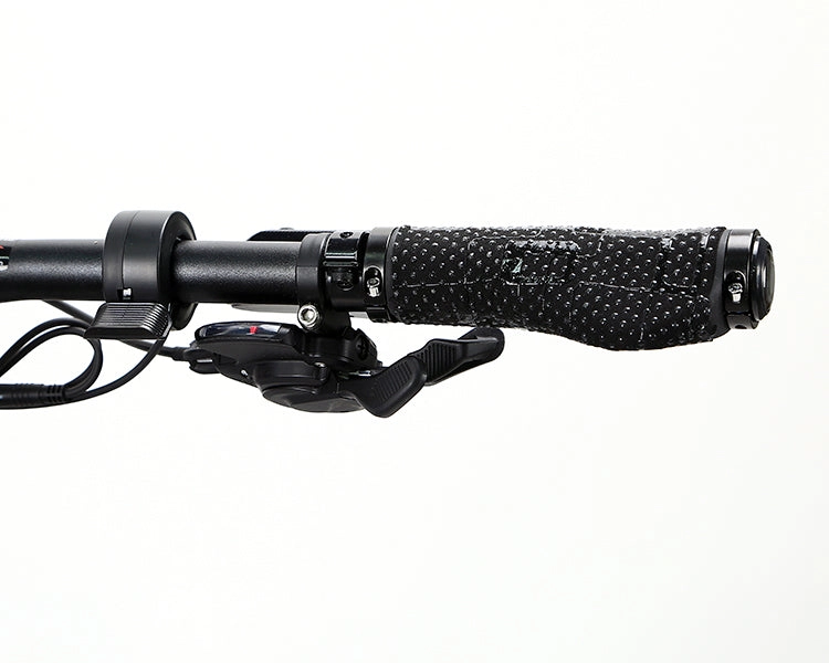 EM10 2025 - ELECTRIC CARBON BIKE