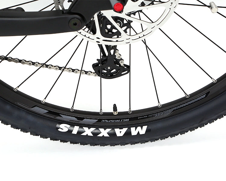 EM10 2025 - ELECTRIC CARBON BIKE