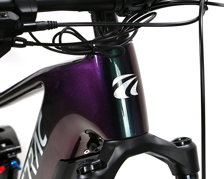 EM10 2025 - ELECTRIC CARBON BIKE
