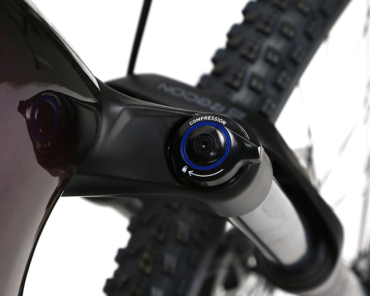 EM10 2025 - ELECTRIC CARBON BIKE