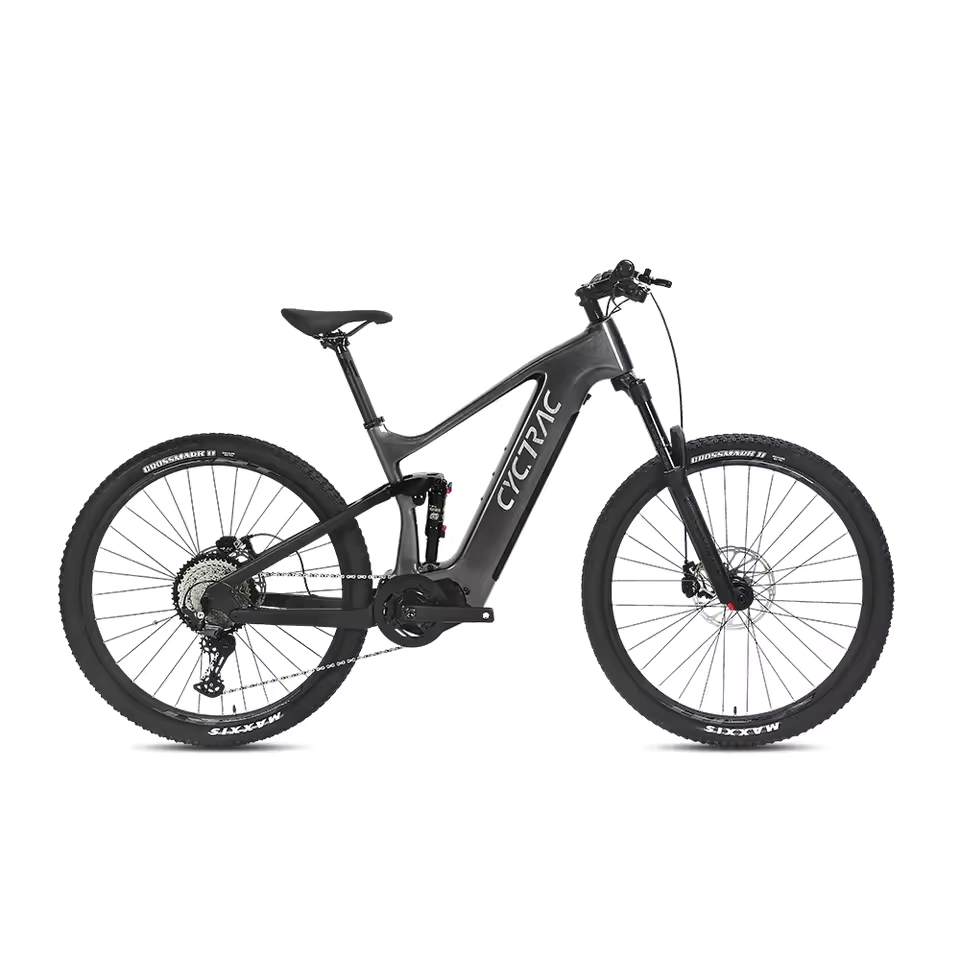 EM10 2025 - ELECTRIC CARBON BIKE