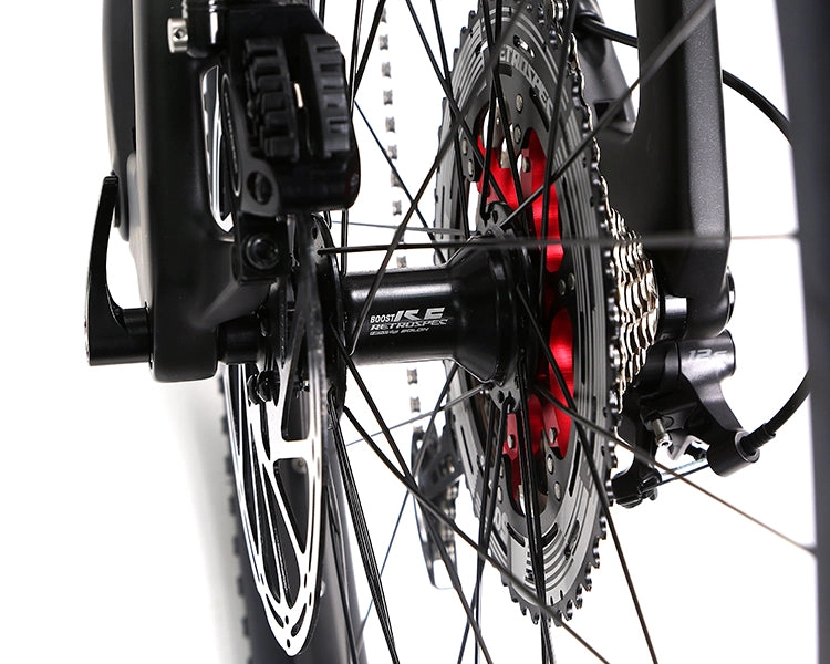 EM10 2025 - ELECTRIC CARBON BIKE