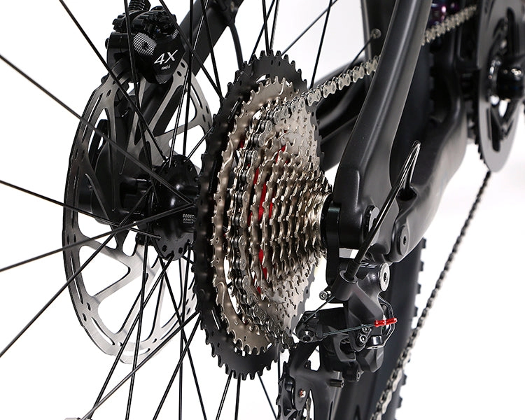 EM10 2025 - ELECTRIC CARBON BIKE