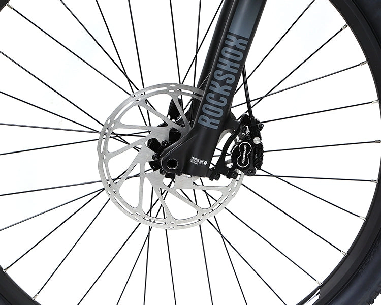 EM10 2025 - ELECTRIC CARBON BIKE
