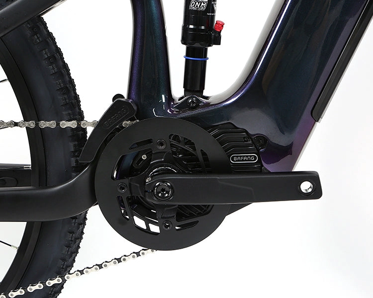 EM10 2025 - ELECTRIC CARBON BIKE