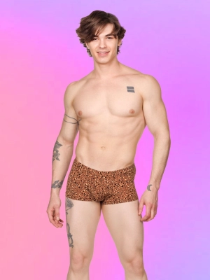 Lovestruck Boxers