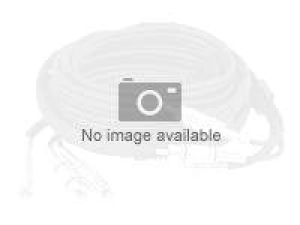 Strategic Sourcing - Adapter cable - HDMI male to DisplayPort male - 6 ft - 4K support AHDPC
